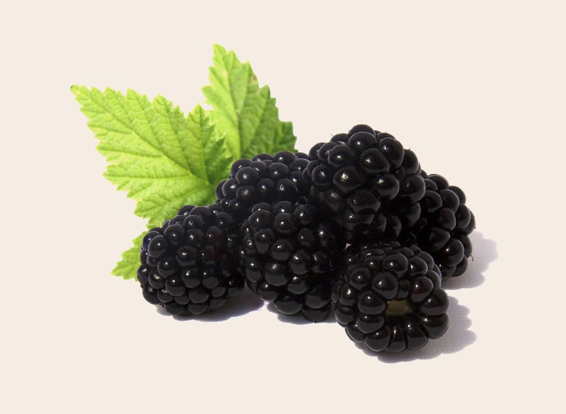 blackberries