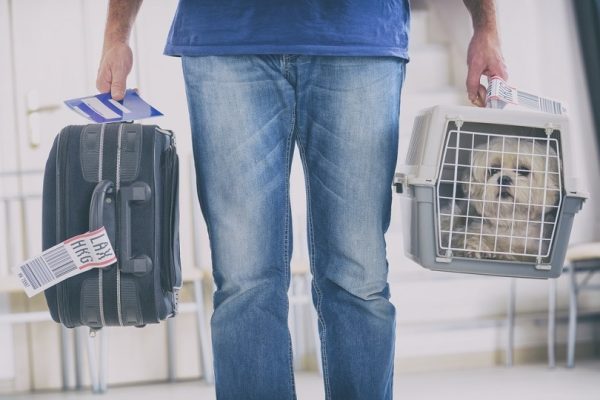 dog-in-the-airline-cargo-pet-carrier_Monika-Wisniewska_shutterstock