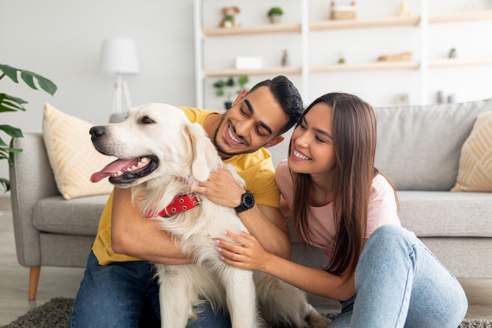 happy multiracial couple scratching their pet dog