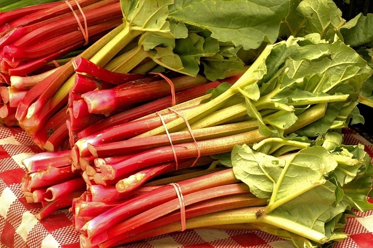 rhubarb